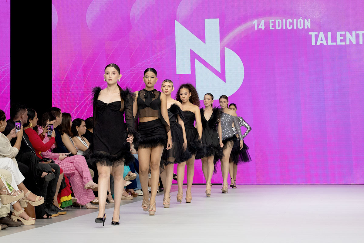 Colectivo Escuela Creativa